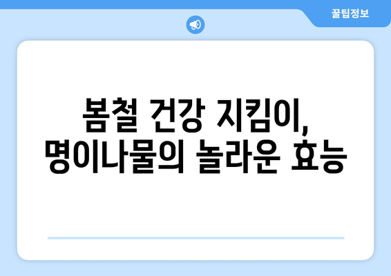 명이나물 효능, 부작용, 영양 성분, 산마늘 제대로 알고 건강하게 즐기자! | 명이나물 효능, 명이나물 부작용, 산마늘 효능, 산마늘 부작용, 명이나물 영양 성분