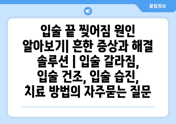 입술 끝 찢어짐 원인 알아보기| 흔한 증상과 해결 솔루션 | 입술 갈라짐, 입술 건조, 입술 습진, 치료 방법