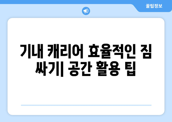 비행기 기내 캐리어 규정 완벽 정복| 항공사별 규격 & 보관 가이드 | 기내 반입, 위탁, 짐 싸는 꿀팁