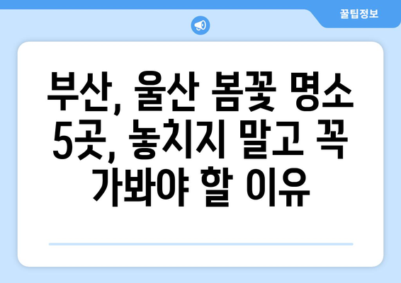 부산, 울산 봄꽃 만개! 놓치지 말아야 할 5곳의 명소 | 봄 여행, 꽃놀이, 데이트 코스