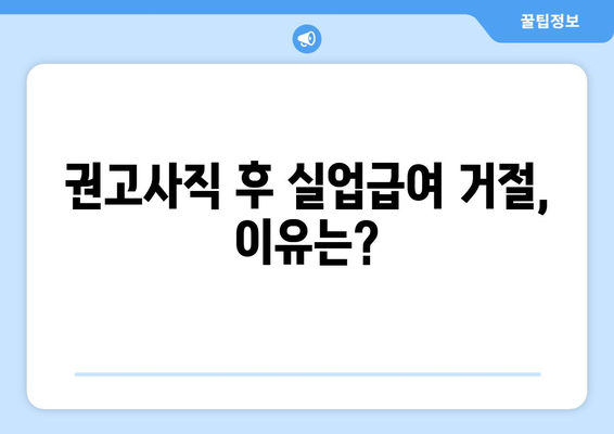 권고사직 후 실업급여 거절, 이럴 땐? | 대응 전략 & 노동법 지침 완벽 가이드