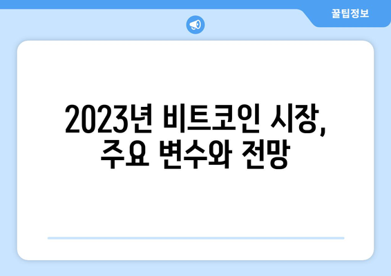 비트코인 가격 조정| 전문가 예측 & 범위 분석 | 2023년 시장 전망 & 투자 전략