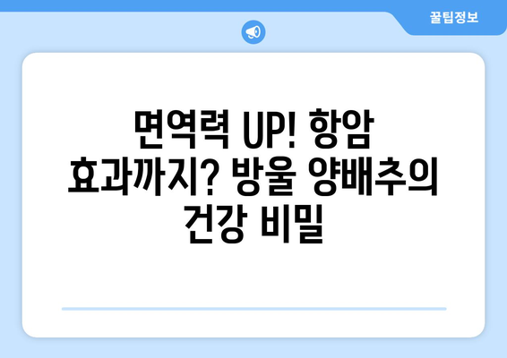 슈퍼푸드 방울 양배추| 강력한 영양 가치와 건강 효과 | 면역력 강화, 항암 효과, 다이어트까지!