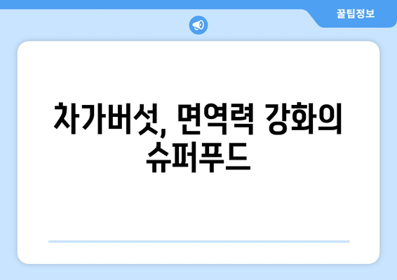 차가버섯 효능 & 영양 성분| 면역력 강화하는 슈퍼푸드 | 건강, 면역, 항암, 차가버섯 효능, 차가버섯 영양 성분