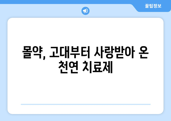 몰약의 놀라운 효능과 부작용, 에센셜 오일 사용법까지 완벽 가이드 | 몰약, 에센셜 오일, 천연 오일, 아로마테라피, 건강