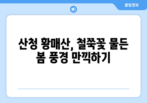 산청 황매산 등산 완벽 가이드| 철쭉 만개 시기 & 주요 코스 추천 | 봄맞이 산행, 지금 바로 떠나세요!