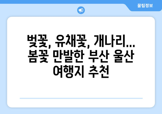 부산, 울산 봄꽃 만개! 놓치지 말아야 할 5곳의 명소 | 봄 여행, 꽃놀이, 데이트 코스