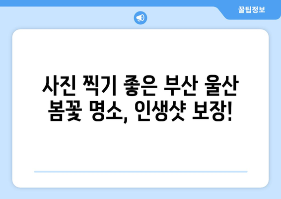 부산, 울산 봄꽃 만개! 놓치지 말아야 할 5곳의 명소 | 봄 여행, 꽃놀이, 데이트 코스