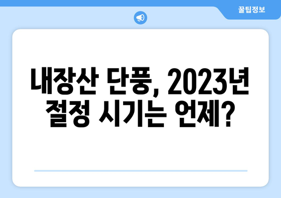 내장산 단풍 절정 시기 확인| 2023년 예측 & 추천 코스 | 단풍 명소, 여행 정보, 가이드