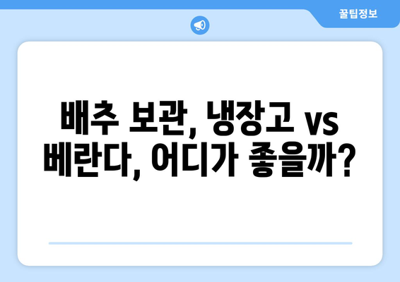 겨울철 배추, 싱싱하게 오래 보관하는 꿀팁 | 신선함 유지, 맛있게 먹는 방법 대공개