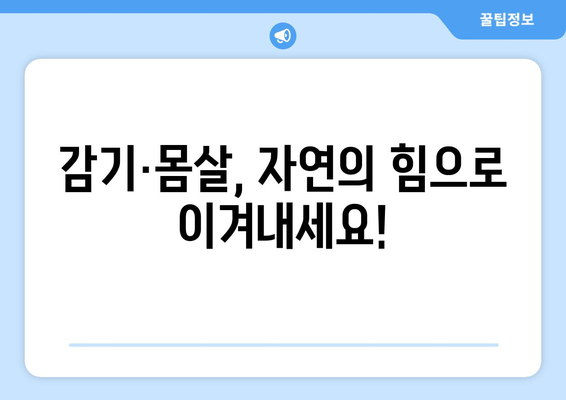 감기·몸살 빨리 낫게 하는 천연 해결책 5가지 | 면역력 강화, 자연 치유, 건강 관리