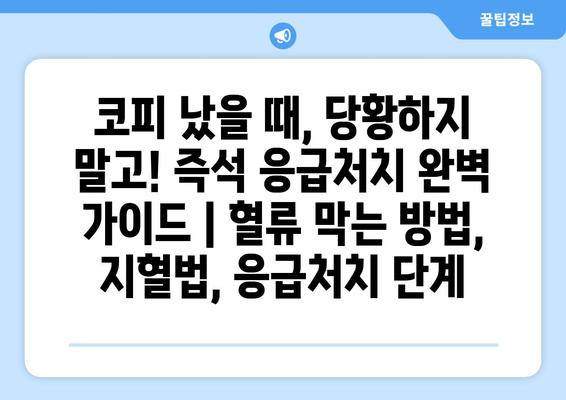 코피 났을 때, 당황하지 말고! 즉석 응급처치 완벽 가이드 | 혈류 막는 방법, 지혈법, 응급처치 단계