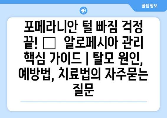 포메라니안 털 빠짐 걱정 끝! 🐶  알로페시아 관리 핵심 가이드 | 탈모 원인, 예방법, 치료법