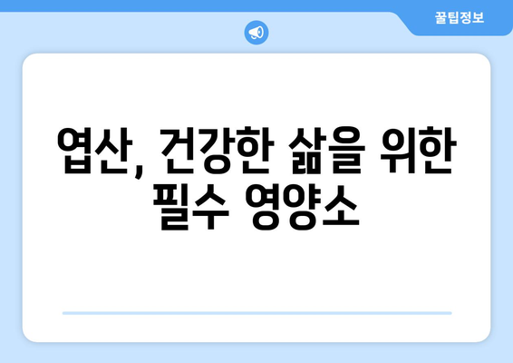 엽산(비타민 B9)의 효능, 부작용, 음식 & 권장 섭취량 완벽 가이드 | 건강, 임산부, 영양