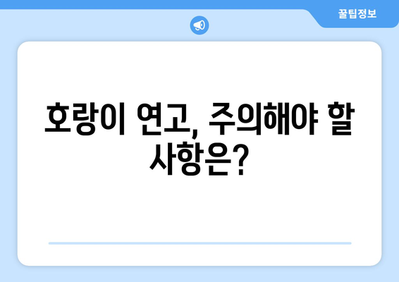 호랑이 연고 부작용, 알아야 할 정보 | 호랑이 연고, 부작용, 주의사항, 사용법, 효능