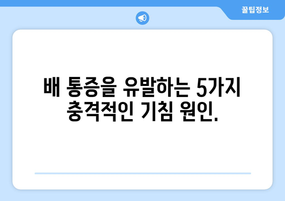 기침할 때 배가 아픈 이유? 배 통증의 충격적인 원인 5가지 | 기침, 복통, 원인 분석, 진단