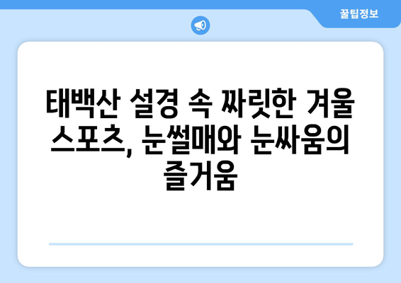 태백산 눈축제, 눈부신 설경과 짜릿한 겨울 축제의 매력에 빠지다 | 태백산, 눈축제, 겨울여행, 눈조각, 눈썰매