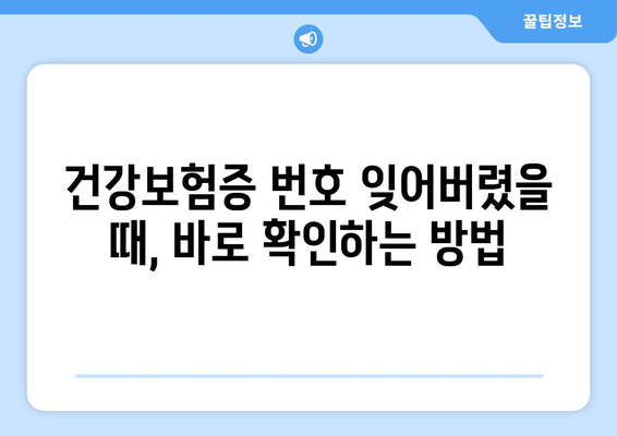 건강보험증 재발급 & 번호 확인, 쉬운 방법 알아보기 | 건강보험, 재발급, 번호 확인,  국민건강보험공단