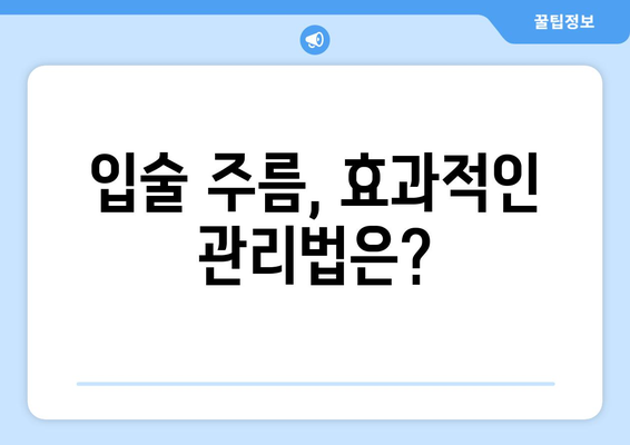 입술 주름, 이제 걱정하지 마세요! 예방과 관리의 모든 것 | 원인, 해결책, 효과적인 관리법