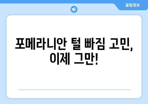 포메라니안 털 빠짐 걱정 끝! 🐶  알로페시아 관리 핵심 가이드 | 탈모 원인, 예방법, 치료법