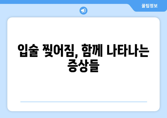 입술 끝 찢어짐 원인 알아보기| 흔한 증상과 해결 솔루션 | 입술 갈라짐, 입술 건조, 입술 습진, 치료 방법