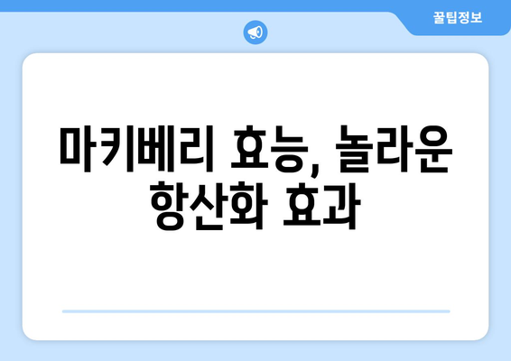 마키베리 효능, 부작용, 먹는법 총정리| 마키베리 물 만드는 방법까지! | 마키베리 효능, 마키베리 부작용, 마키베리 먹는법, 마키베리 물