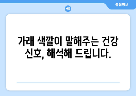 가래의 모든 것| 원인, 증상, 색깔별 의미 완벽 가이드 | 건강, 호흡기, 질병