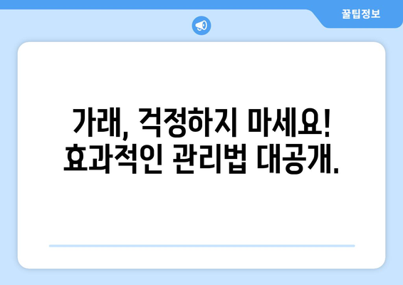 가래의 모든 것| 원인, 증상, 색깔별 의미 완벽 가이드 | 건강, 호흡기, 질병