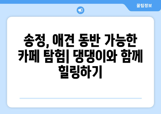 송정에서 반려동물과 함께 즐기는 카페 투어| 애견 동반 가능 카페 탐험 | 송정, 애견 동반, 카페 추천