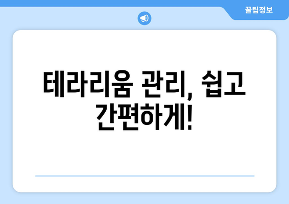 나만의 테라리움 만들기| 개인화된 미니 정원 구축 가이드 | 초보자를 위한 친절한 안내