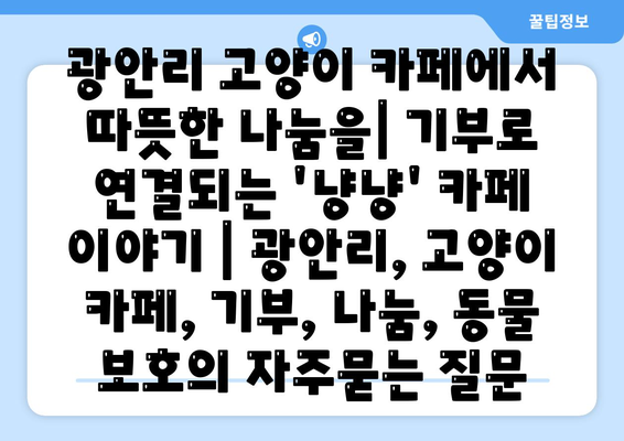 광안리 고양이 카페에서 따뜻한 나눔을| 기부로 연결되는 