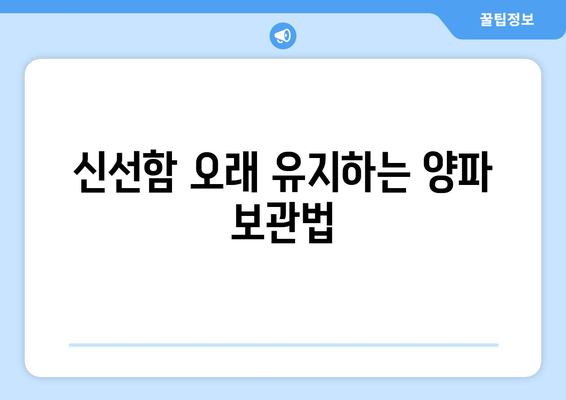 양파의 놀라운 효능부터 보관법, 장아찌까지! | 양파 효능, 종류, 보관, 장아찌 담그는 법, 레시피