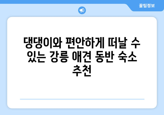 강릉 댕댕이 동반 숙소 BEST 3| 애견과 함께 떠나는 행복한 여행  | 강릉, 애견 동반 숙소, 추천, 댕댕이 여행