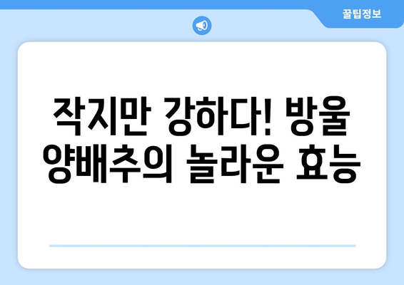 슈퍼푸드 방울 양배추| 강력한 영양 가치와 건강 효과 | 면역력 강화, 항암 효과, 다이어트까지!