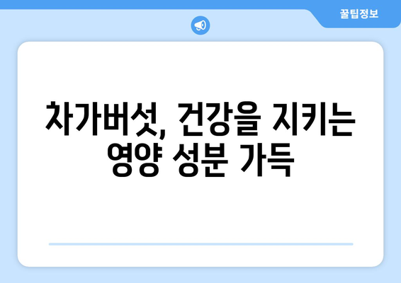 차가버섯 효능 & 영양 성분| 면역력 강화하는 슈퍼푸드 | 건강, 면역, 항암, 차가버섯 효능, 차가버섯 영양 성분