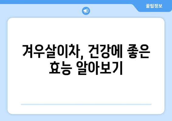 겨우살이차 부작용, 알고 마셔야 건강해요! | 겨우살이차 효능, 주의사항, 부작용 정보