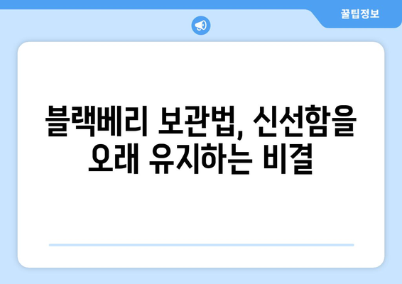 블랙베리 효능 & 부작용 완벽 가이드| 고르는 법, 먹는 법, 보관 방법까지! | 블랙베리, 건강 정보, 슈퍼푸드