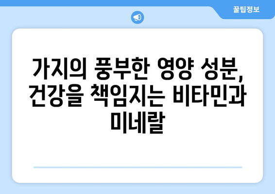 가지의 놀라운 효능과 영양 성분, 부작용까지! 건강에 좋은 가지물 만드는 법 | 가지, 효능, 영양, 부작용, 레시피