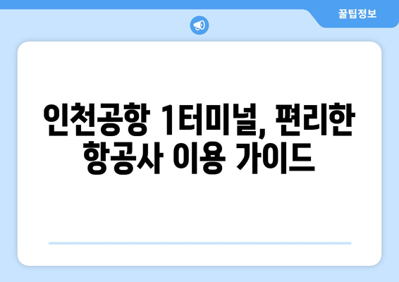 인천공항 제1여객터미널 항공사 안내| 아시아와 유럽을 잇는 허브 |  대한민국 대표 공항의 항공사 정보