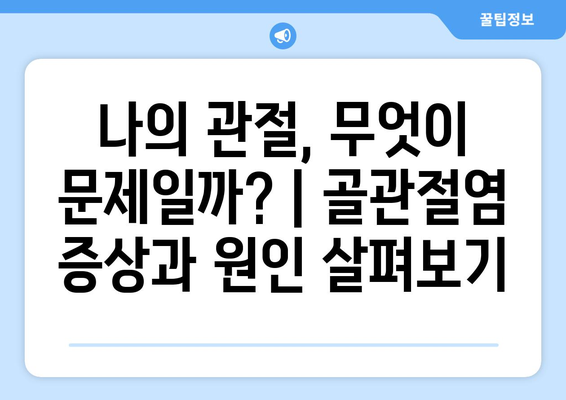 골관절염과 퇴행성 관절염| 증상, 원인, 예방법 완벽 가이드 | 관절 통증, 연골 손상, 운동, 식단