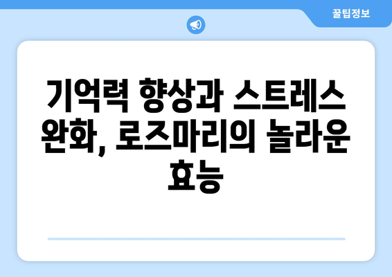 로즈마리의 놀라운 효능과 부작용, 그리고 향긋한 로즈마리 차 만들기 | 건강, 허브, 차, 레시피