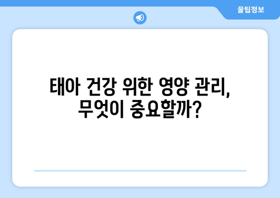 임신 준비, 엽산부터 필수 영양소까지! 완벽 가이드 | 건강한 출산을 위한 영양 관리