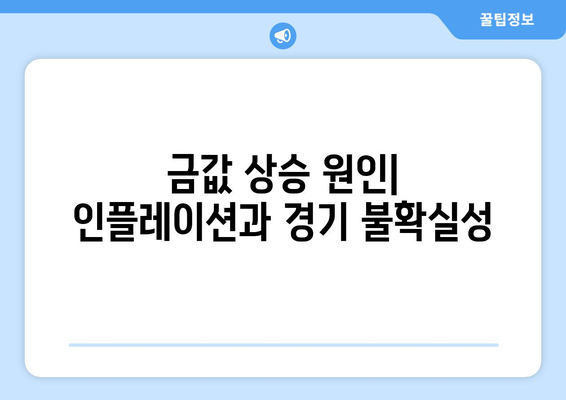 역대 최고 금 가격, 왜 오를까? | 상승 원인 분석 및 전망