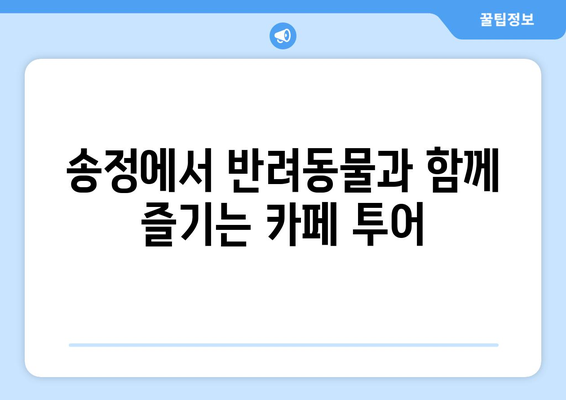 송정에서 반려동물과 함께 즐기는 카페 투어| 애견 동반 가능 카페 탐험 | 송정, 애견 동반, 카페 추천