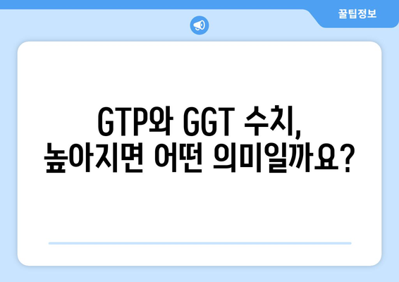 간수치 GTP와 감마지티피(GGT) 정상 범위 완벽 이해하기 | 간수치, 간 기능 검사, 건강 지표, 정상 범위