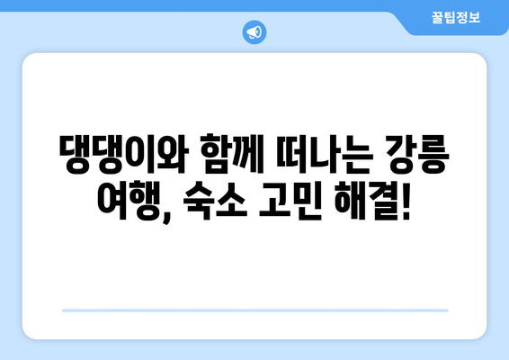 강릉 댕댕이 동반 숙소 BEST 3| 애견과 함께 떠나는 행복한 여행  | 강릉, 애견 동반 숙소, 추천, 댕댕이 여행