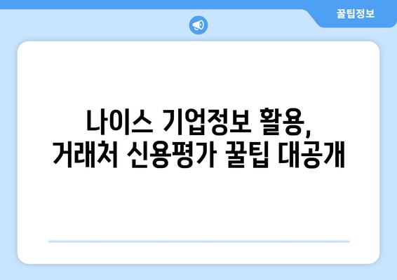 나이스 기업정보 활용, 거래처 신용평가 꿀팁| 5단계 가이드 | 신용등급, 재무제표 분석, 위험 관리