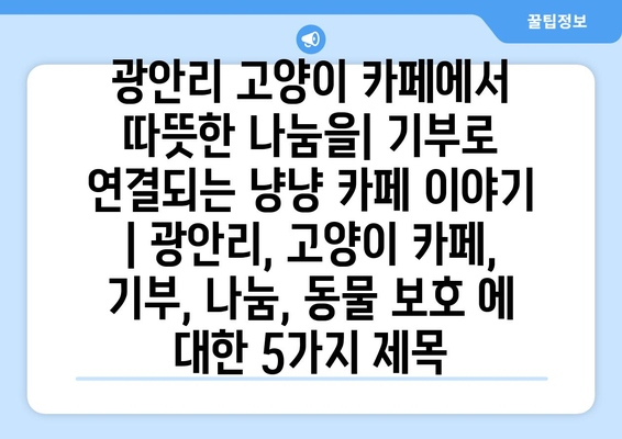 광안리 고양이 카페에서 따뜻한 나눔을| 기부로 연결되는 