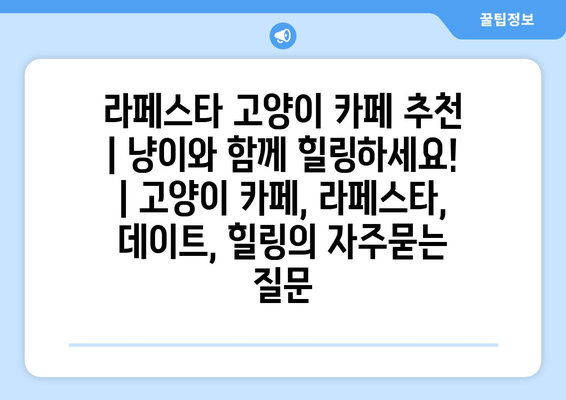 라페스타 고양이 카페 추천 | 냥이와 함께 힐링하세요! | 고양이 카페, 라페스타, 데이트, 힐링
