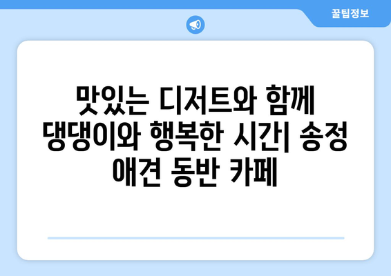 송정에서 반려동물과 함께 즐기는 카페 투어| 애견 동반 가능 카페 탐험 | 송정, 애견 동반, 카페 추천